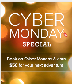 a advertisement for a cyber monday