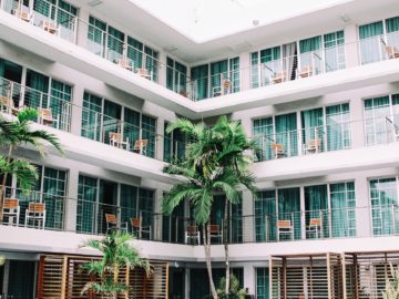 a building with palm trees and a patio